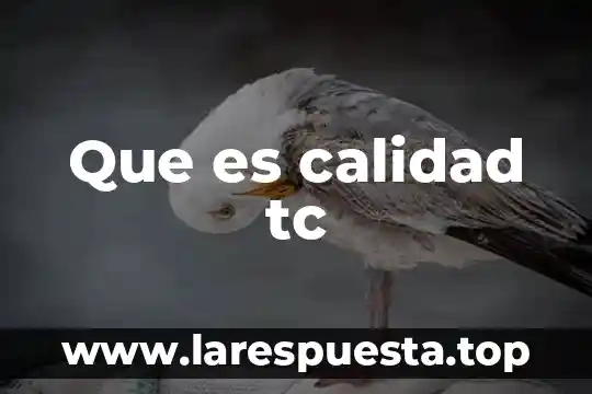 Que es calidad tc