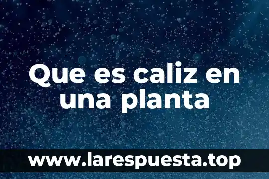 Que es caliz en una planta