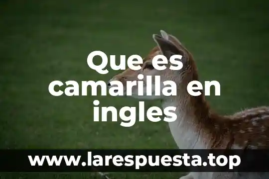 Que es infeliz en ingles 7 Que es camarilla en ingles