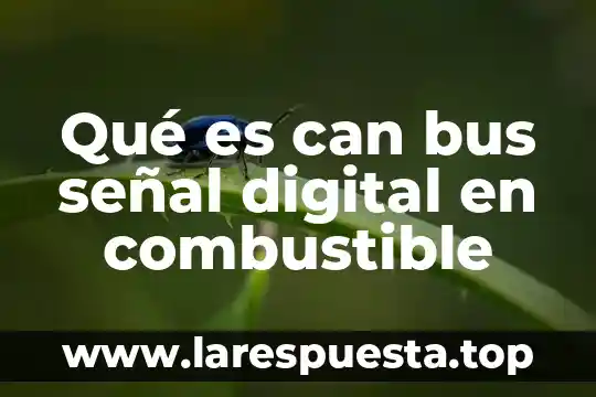 Qué es can bus señal digital en combustible