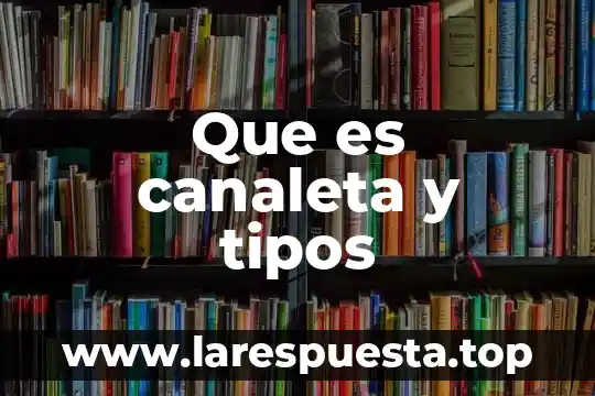 Que es canaleta y tipos