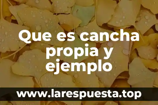 Que es cancha propia y ejemplo