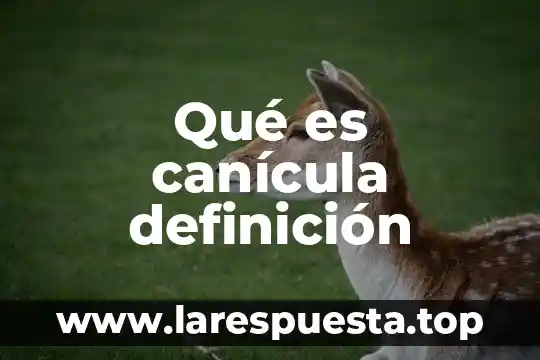 Qué es canícula definición