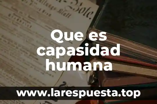 Epidermis humana que es 8 Que es capasidad humana