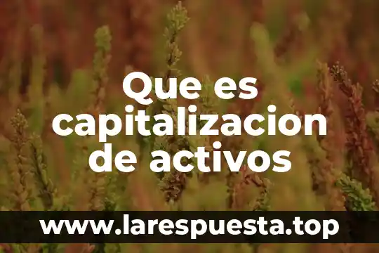 Que es activos prescindibles 4 Que es capitalizacion de activos