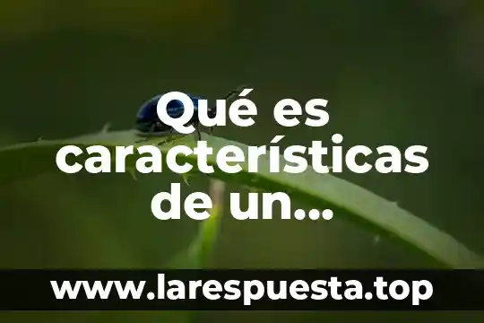 Que es un personaje protagonico en un cuento 7 Qué es características de un personaje