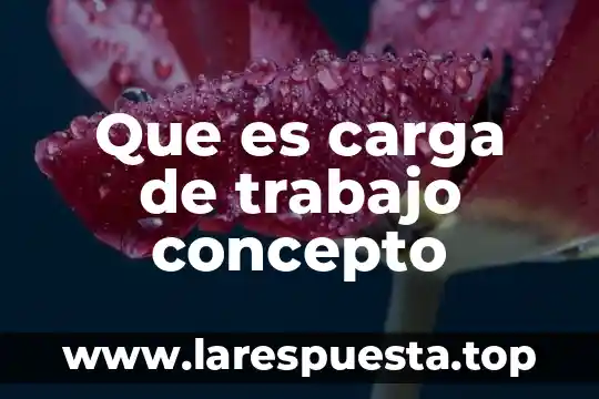 Qué es el concepto js en el talón de cheque 7 Que es carga de trabajo concepto