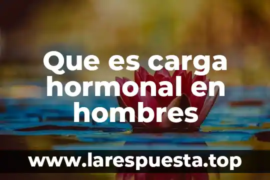 Que es carga electrica positiva yahoo 5 Que es carga hormonal en hombres