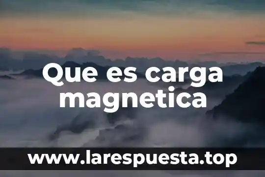 Qué es el corotron de carga 3 Que es carga magnetica