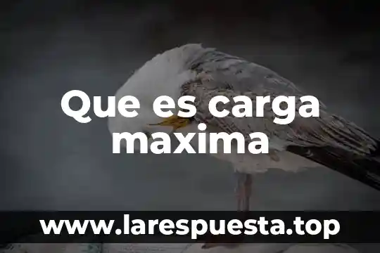 Que es carga magnetica 5 Que es carga maxima