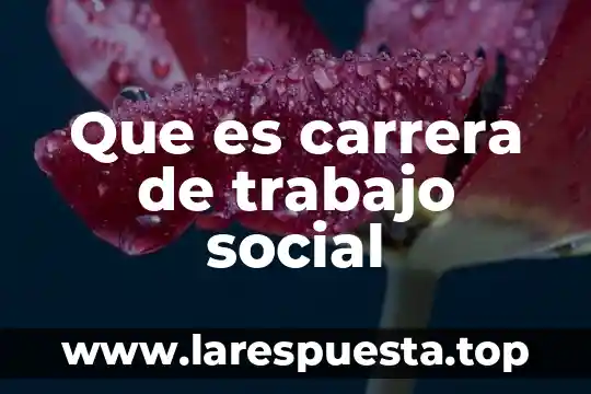 Que es carrera de trabajo social