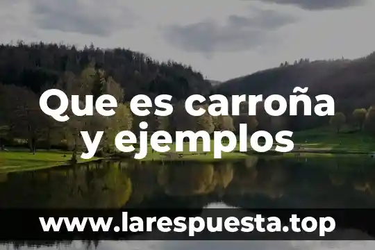 Que es un analgésico ejemplos 5 Que es carroña y ejemplos