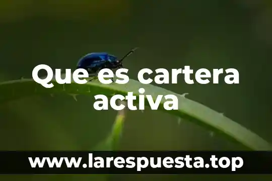Que es cartera activa