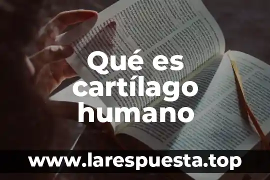 Qué es cartílago humano