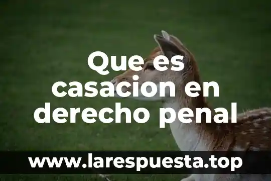 ¿Qué es el Código Penal Federal? 8 Que es casacion en derecho penal
