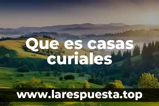 Que es la pintura para casas 4 Que es casas curiales