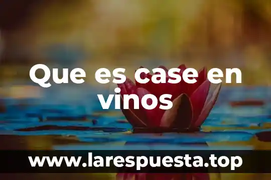 Que es case en vinos