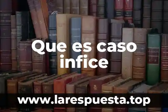 Que es la resolucojn del caso 3 Que es caso infice