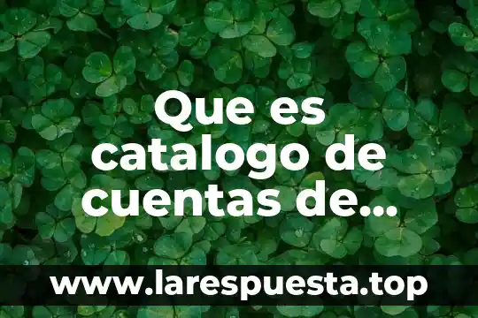 Que es un catalogo en comercios 4 Que es catalogo de cuentas de activo y pasivo