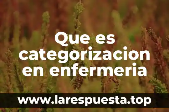 Que es categorizacion en enfermeria