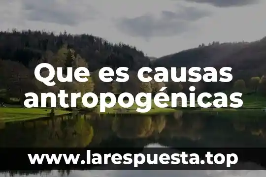 Que es causas antropogénicas