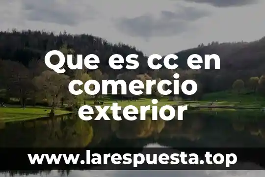 Que es daño grave en comercio exterior 8 Que es cc en comercio exterior