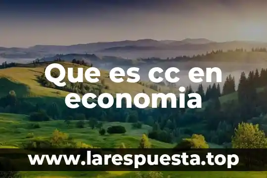 Que es c y cc en una carta 7 Que es cc en economia