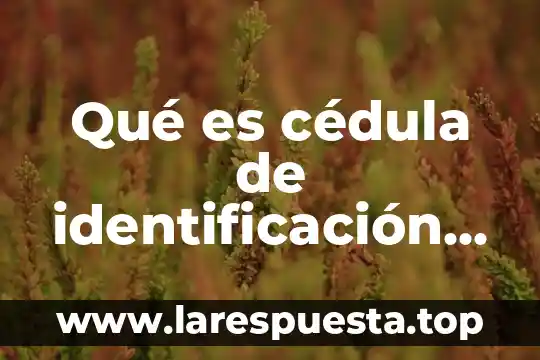 Qué es cédula de identificación fiscal SAT