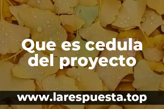 Que es cedula del proyecto