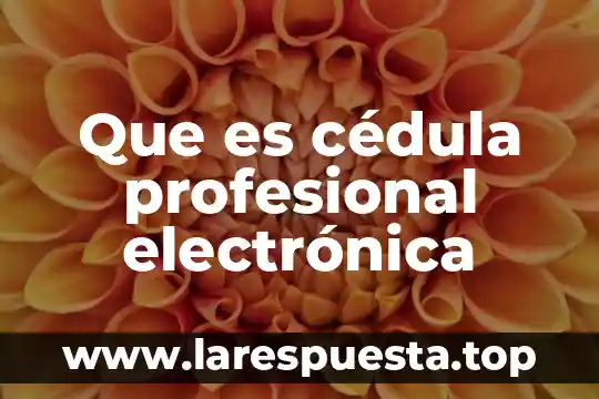Que es cédula profesional electrónica