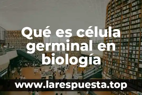 Qué es célula germinal en biología