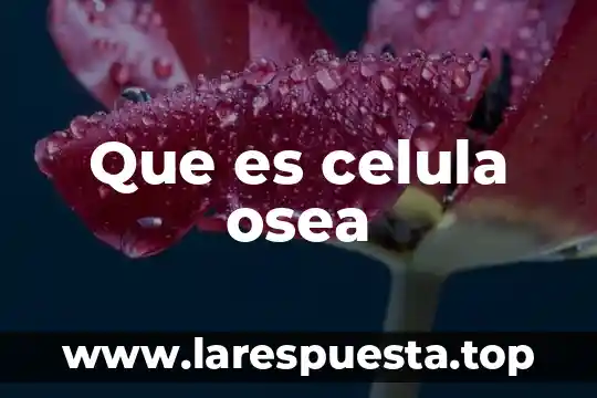 Que es una celula procariota de dibujo para coloriar 5 Que es celula osea