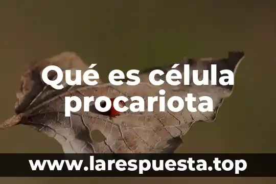 Investigar que es procariota 6 Qué es célula procariota