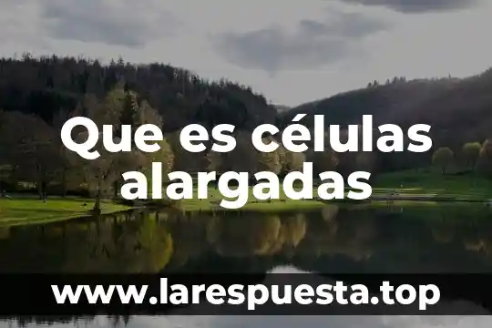 Que es células alargadas