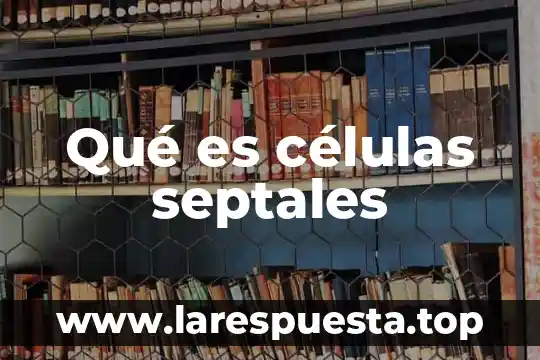 Asma células epiteliales lesionadas qué es 5 Qué es células septales