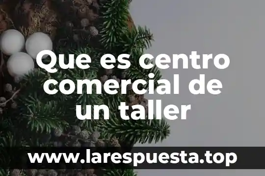 Que es software comercial y tipos 8 Que es centro comercial de un taller