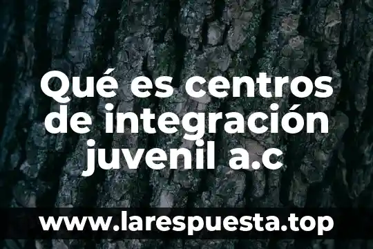 Qué es canónico en derecho 5 Qué es centros de integración juvenil a.c