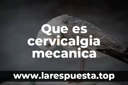 Que es mecanica industrial 6 Que es cervicalgia mecanica