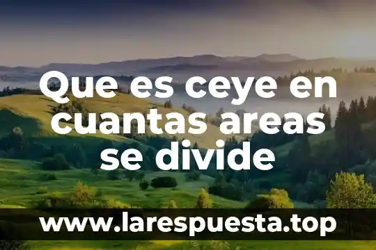 Que es ceye en cuantas areas se divide