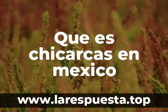 Que es chicarcas en mexico