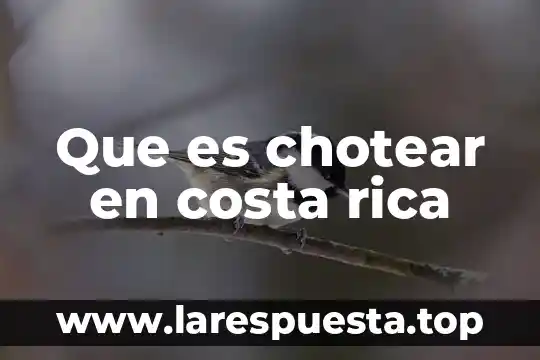 Costa cayo que es 4 Que es chotear en costa rica
