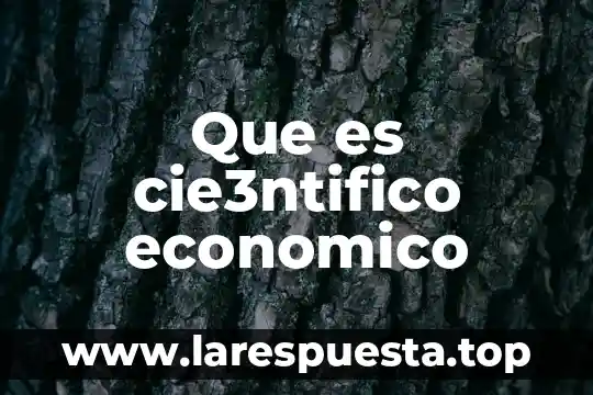 Que es la oferta agregada en el ciclo economico 5 Que es cie3ntifico economico