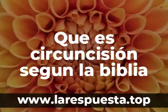 Que es un prodigio en la biblia 4 Que es circuncisión segun la biblia