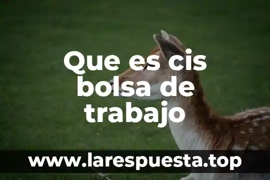 Bolsa familiar que es 5 Que es cis bolsa de trabajo