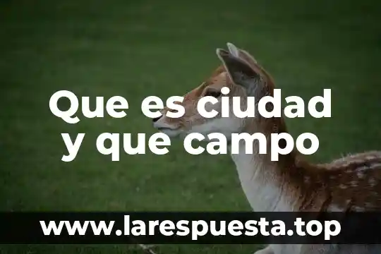 Que es ciudad y que campo