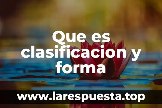 Que es clasificacion y forma