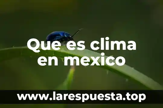 Que es clima en mexico