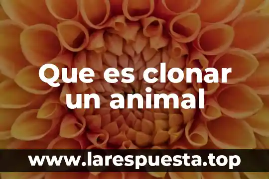 Que es clonar un animal