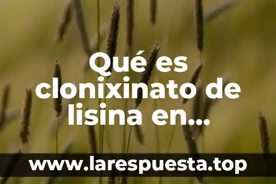 Qué es clonixinato de lisina en nombre comercial