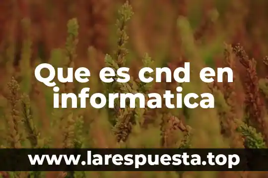 Que es cnd en informatica